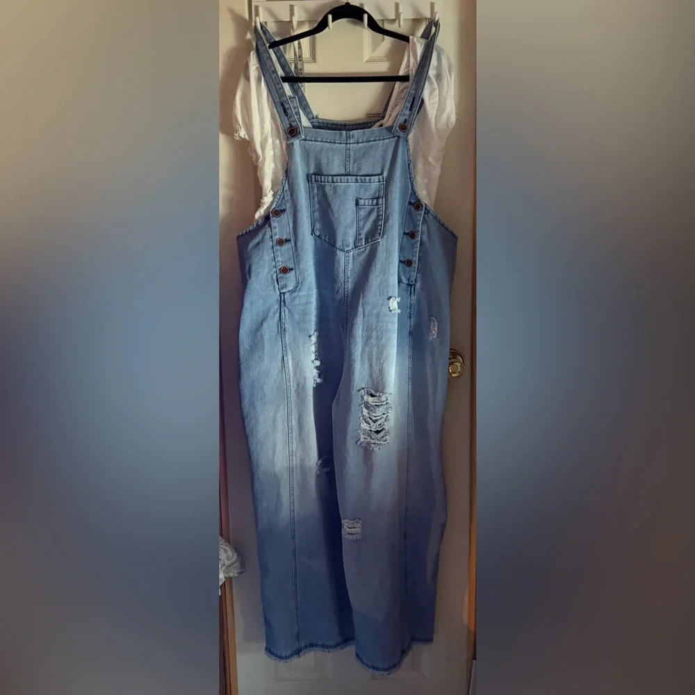 Blue Denim Distressed Overalls - Picture 2 of 7